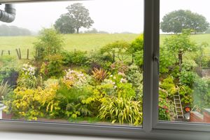 Photo 30- click for photo gallery